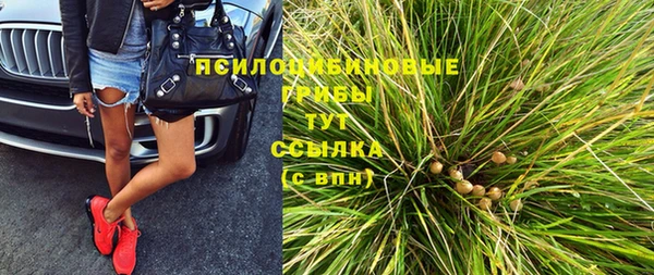 спиды Покачи