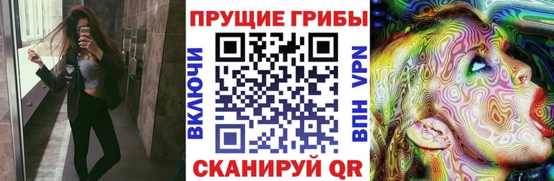 Псилоцибиновые грибы Psilocybe MEGA Тейково